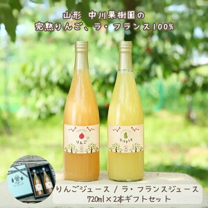 ʎ 񂲃W[X EtXW[X MtgZbg [720ml×2{] R`fUCMtg{bNX R` Y Xg[gW[X ʏ`100% ㊮n  y퉷