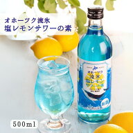 オホーツク流氷 塩レモンサワーの素 500ml [4本/12本] 網走ビール リキュール お酒 おしゃれ プレゼント …