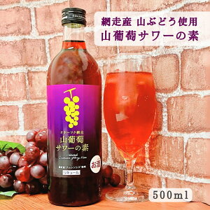 Iz[cNԑ RT[̑f 500ml [4{/12{] ԑr[ L[  JNe v[g yY kC n (260) ܂܂I