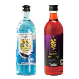 Iz[cNX T[̑fEIz[cNԑ RT[̑f 500ml [4{(e2{) / 12{(e6{)] ԑr[ L[   RԂǂ v[g yY kC n 