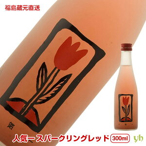 (313)Rice Magic lC Xp[NObh 300ml×1{ lC {  璼 