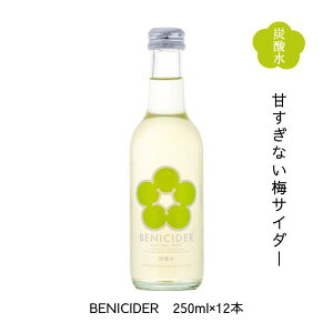 nTC_[ BENI CIDER(xjTC_[) 250ml×12{  䌧ዷYn ዷOrobW GRt@[݂ gf~ ׂɂ TC_[ Y_ mAR[ BENITC