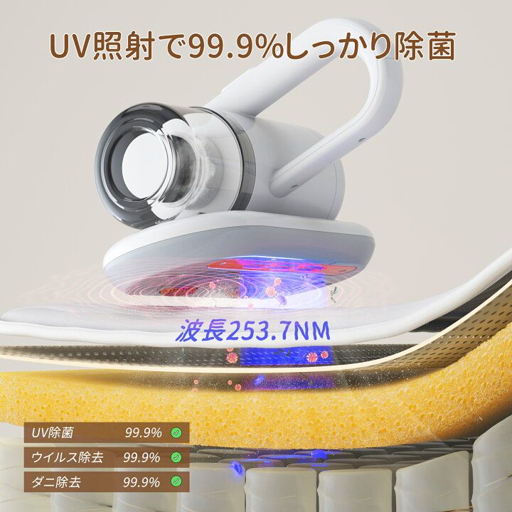 楽天市場】【6周年記念55％OFF特別価格・クーポンで7599円！】【楽天1 