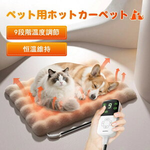 yԌ |Cg10{zVi ybgq[^[ ybgpzbgJ[ybg q[^[}bgzbg}bg q[^[ L q[^[  ^ybg 9iKx ΍ \ h 