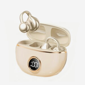 yԌ N[|2,366~z`Cz CXCz C[Jt^ Bluetooth 5.4 Hi-Fi ^b` I[vC[ Cz Type-C[d y a v[g