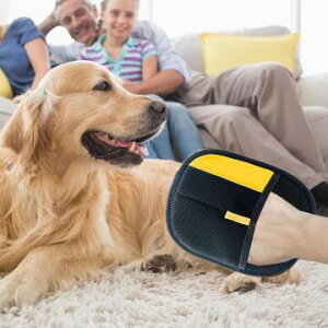 2Zbg L̖я ybgLO[~OO[u ybgpÓdю уuV L̖ю O[~O ʃbV pуN[i[ єp c[EF