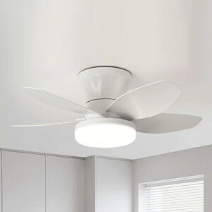 V[Ot@ V[Ot@Cg LED DC[^[ F  V[OCg t@t 810 12 Rt u 6iʒ y t]؂ւ Cz 