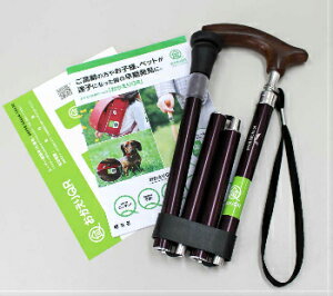 XebL   ܂ݏ ܂肽ݏ ܂肽ݎ  s⏕ s⏕ N  Vl wl y ܂肽 ܂ ܂肽ݎ am j  Lk Rp