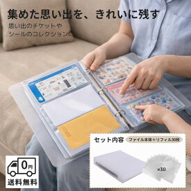 チケットホルダー 大容量 180枚収納可能 リフィル 30ページ 一式セット 横入れ構造 A4サイズ対応 リング式 3穴 ケース ファイル チケット 収納 保管