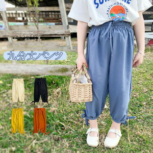 9 pc VtHn LbY WjA ̎q ؍ Chpc SEGXg t9pc JWA i` Vv TG n y₩ y   N[ 