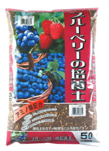 u[x[̔|{y@5L[g2.5]yN[|zzX܁z