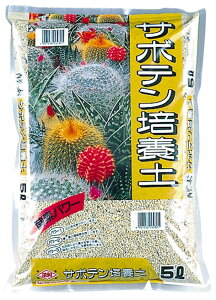 T{e|{y@5L[g3]yN[|zzX܁z