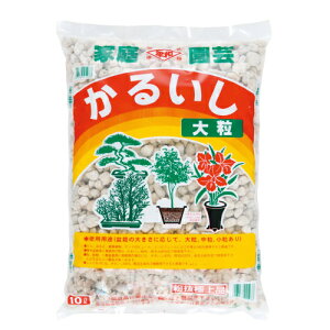 邢@10L[g5.5]yN[|zzX܁z