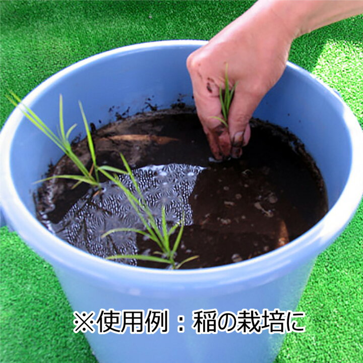 楽天市場 黒土 約14l G12 クーポン配布店舗 Gardening園芸と土 刀川平和