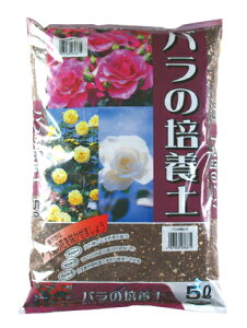 o̔|{y@5L[g2.5]yN[|zzX܁z