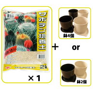 【送料無料】『多肉植物用！鉢＆土の セット』 【クーポン配布店舗】