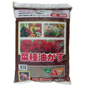 菜種油粕　3kg[g3]【クーポン配布店舗】