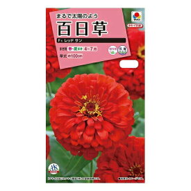 楽天市場 百日草 種の通販 楽天市場 百日草 種の通販