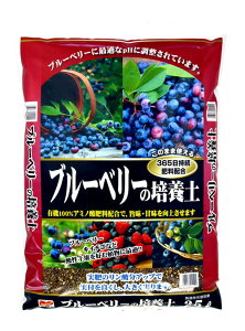 u[x[̔|{y@25L[g12]yN[|zzX܁z