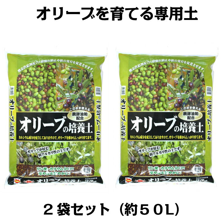 楽天市場 オリーブの培養土 25l 2袋セット 約50リットル G26 クーポン配布店舗 Gardening園芸と土 刀川平和