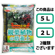 SCG観葉植物の培養土　[g3]【クーポン配布店舗】