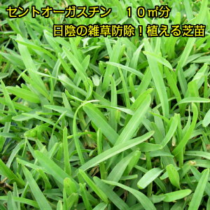 苗 芝生 日陰の人気商品 通販 価格比較 価格 Com 苗 芝生 日陰の人気商品 通販 価格比較 価格 Com