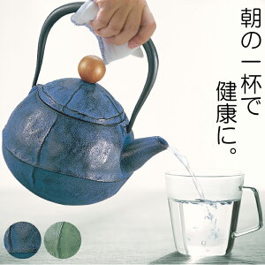南部鉄器 やかん おしゃれの人気商品 通販 価格比較 価格 Com