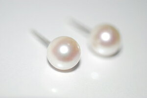 {^@p[sAX 8D0mm@yK14WGzyz@tH[}@̓@v[g