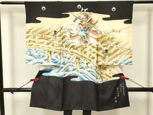 a[]{Q j̎q j Y  ̂ ƕ ` F̐w n Â X؍j  i DAAS9318ma