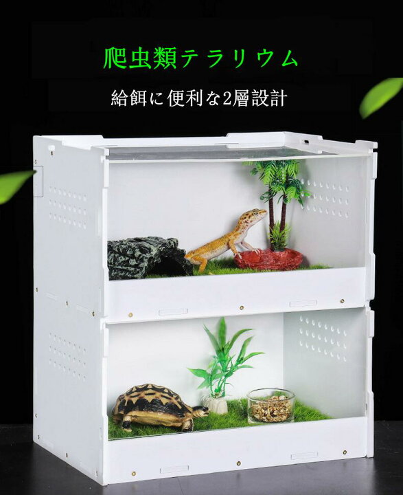 楽天市場】爬虫類飼育ケージ 亀トカゲヘビ飼育ボックス 裸の檻 爬虫類  