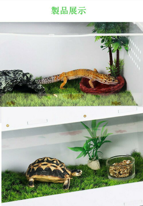 楽天市場】マラソンP5倍 爬虫類飼育ケージ 亀トカゲヘビ飼育ボックス 