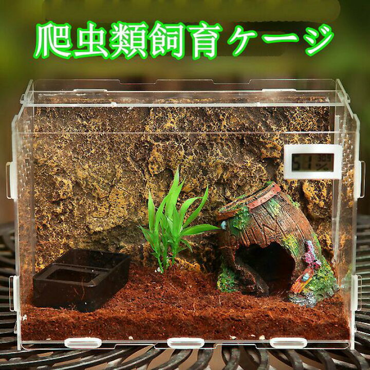 楽天市場】爬虫類飼育 爬虫類、両生類、小動物ケージ 亀トカゲヘビ飼育 