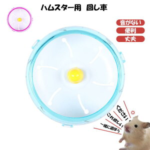 SS P5{ nX^[@``bg@P[Wߋp̃jOfBXN@nX^[@񂵎ԃTCg, sN12cm