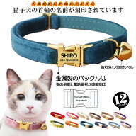 P5倍 迷子札付き 猫用首輪 ゴールド オーダーメイドの迷子札 猫 首輪 猫首輪 迷子札 バックル 鈴 おしゃ…