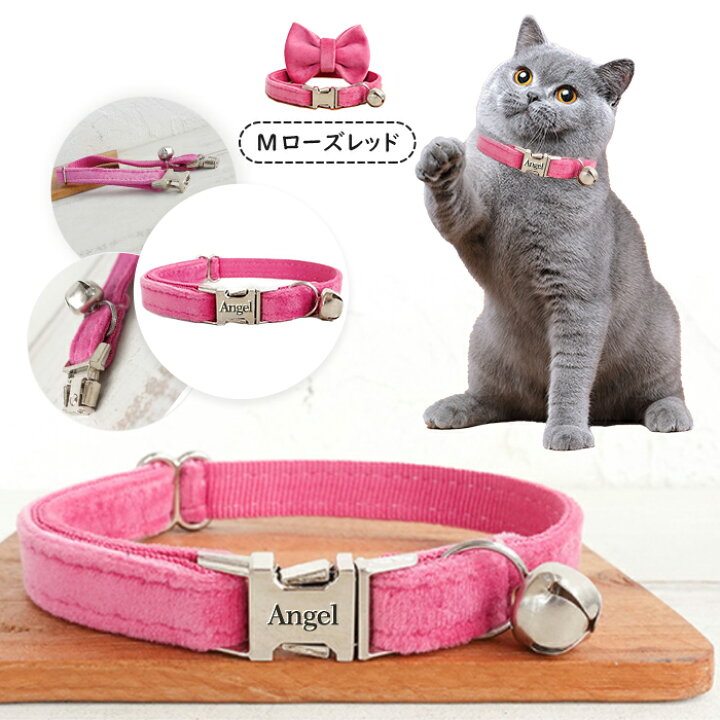 楽天市場】P5倍 迷子札付き 猫用首輪 オーダーメイドの迷子札 ネコ 猫  