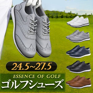 StV[Y yʃStV[Y  Xj[J[ C Y XpCNXV[Y V[Y X|[cV[Y EH[LOV[Y h\[ y  XpCNX ʋC