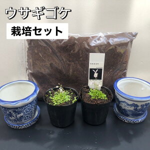 ETMSP ETM RP   HA ͔|Zbg ͔|t k͔| ANAE ۃeE S ̕ɂ ȒP  Ă Ƃł Zbg