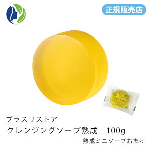 yK̔Xzy~j\[vtzvXXgA NWO\[v n 100gyzy痿AΌANWOz