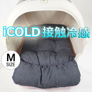 ėp ̂NbV iCOLD ڐG⊴ 10IXfjlCr[ MTCY wY ybgxbh  L LsO ybg N[g}bg N[gNbV N[gxbh