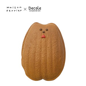 ] eA  | Maison terrier XC[c }Olbg S7 |   Â َq AgG I[V[Y fR DECOLE K̔X