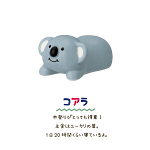 y1155OFFN[|zzzu GfDAY,MATEI u S2 fR Jg[Xg NIbJ NIbJr[ RA 킢 I[XgA  n Mtg v[g