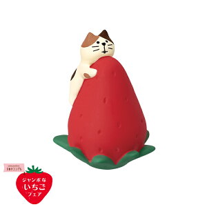 RRu qLƃW{ | W{ȂtFA 2024 t fR }XRbg DECOLE concombre CeA  u G A|