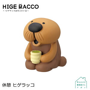 yxe qQbRzfR HIGE RACCO