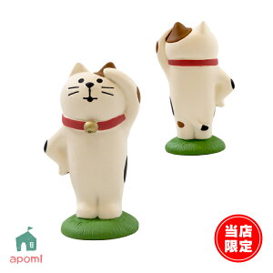 RRu IWi V ԉΌL | X̔ ԉΌ 2025 I[V[Y Ղ ͂Ȃ fR }XRbg DECOLE concombre CeA  u G A|