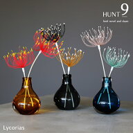 【9月25日 5％OFFクーポン】リードスティック / リコリアス 全5色 / Lycorias リコリス 花のモチーフ ス…