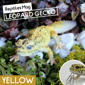 楽天市場 ヒョウモントカゲモドキ 置物 インテリア小物 置物 インテリア 寝具 収納 の通販