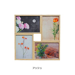  tHgt[ /  HARROW4 ( nE4 ) S5F / Mtg [U[ L 4 ʐ^ Ǌ| u^ X^h Mtg 蕨 LOi v[g T[rX 