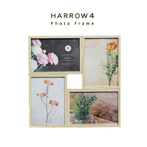 tHgt[ ʐ^ / nE4 HARROW4 S5F / Ǌ| X^h ؐʐ^ 4 L  Mtg