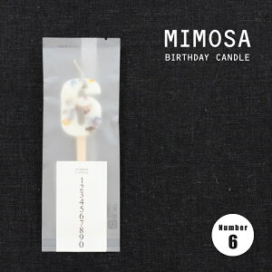 y}\N[|zLh o[Xf[ / MIMOSA BIRTHDAY CANDLE S10 / hCt[  N a LO ʂȓ {  W20-30 x H110mm {^jJ f 킢 W
