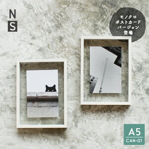 ʐ^ tHgt[y A5 CAN-01 i`zCg z   A[gt[ z  |XgJ[h A5TCY u|p Ǌ| tbNt X^h ؐ KX 